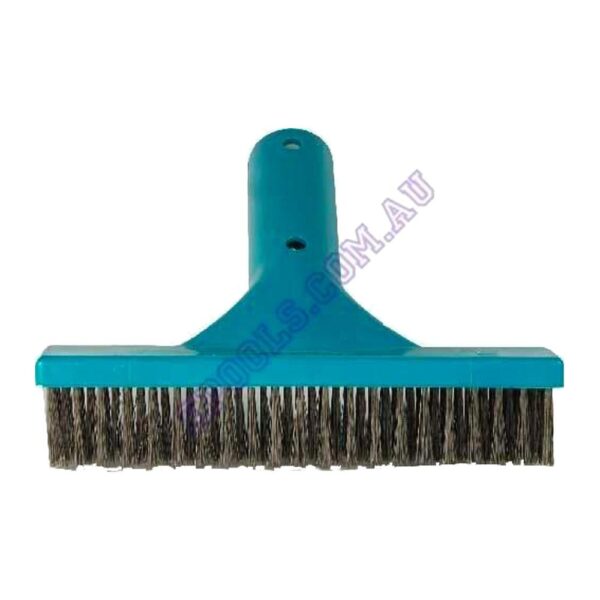Swimming Pool 25cm Stainless Steel Algae Brush Epools Pool Shop