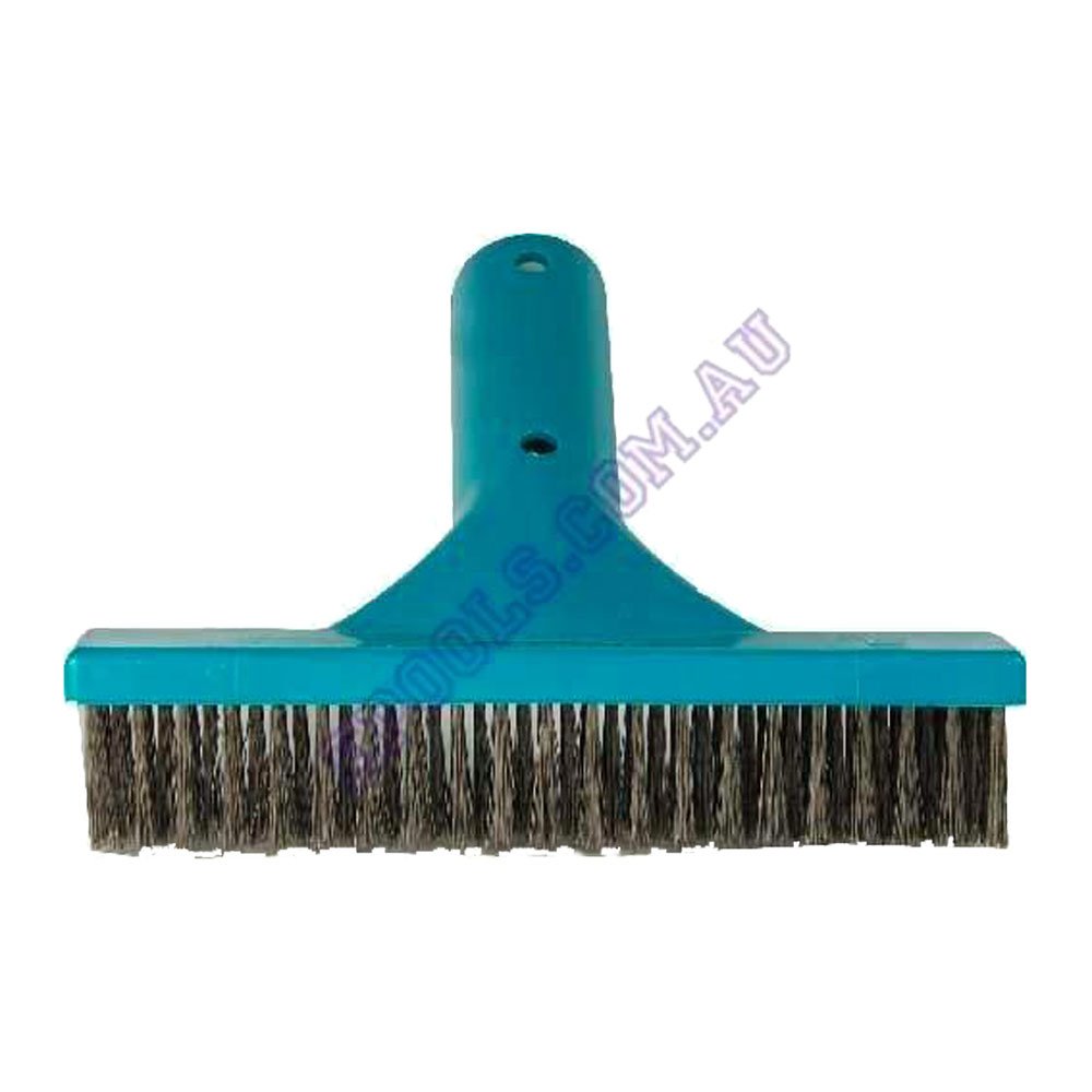 Swimming Pool 25cm Stainless Steel Algae Brush Epools Pool Shop