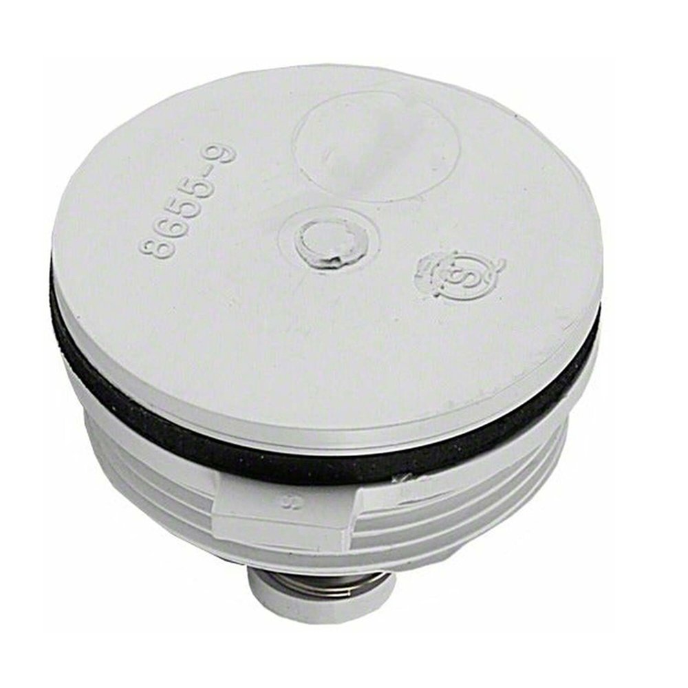 Pentair Water Hydrostatic Pool Valve 40MM070170151 Epools Pool Shop