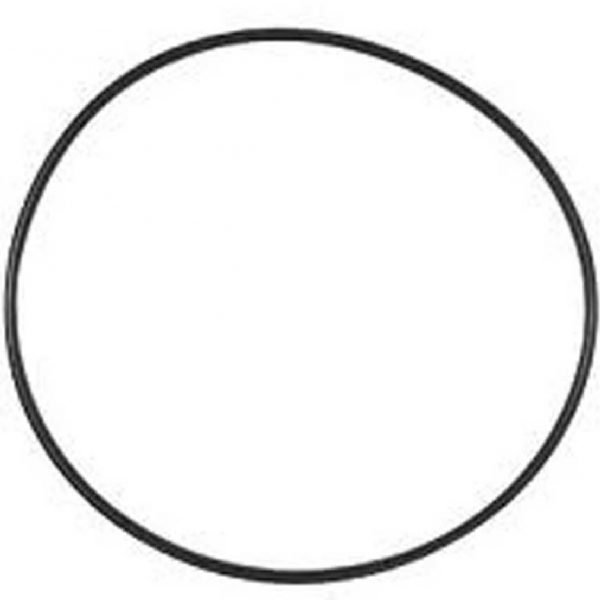 Hayward Swim Clear Cartridge Filter Head O’Ring Epools Pool Shop