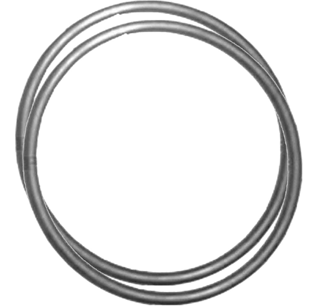 E-SERIES PUMP LID ASSY WITH ORING - Everclear Pools SA - Foto 2