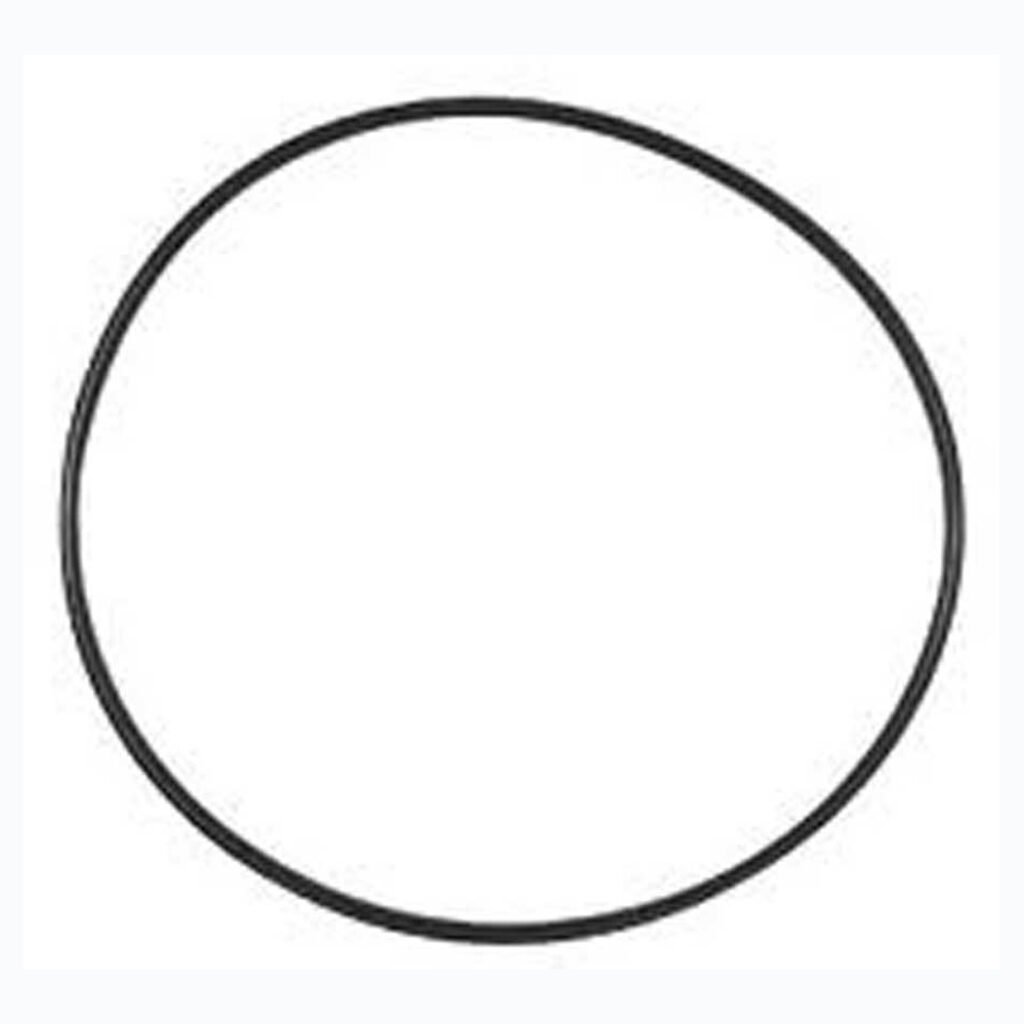 Davey Monarch Ecopure Reliance Generic O Ring 40mm Valve To Filter 