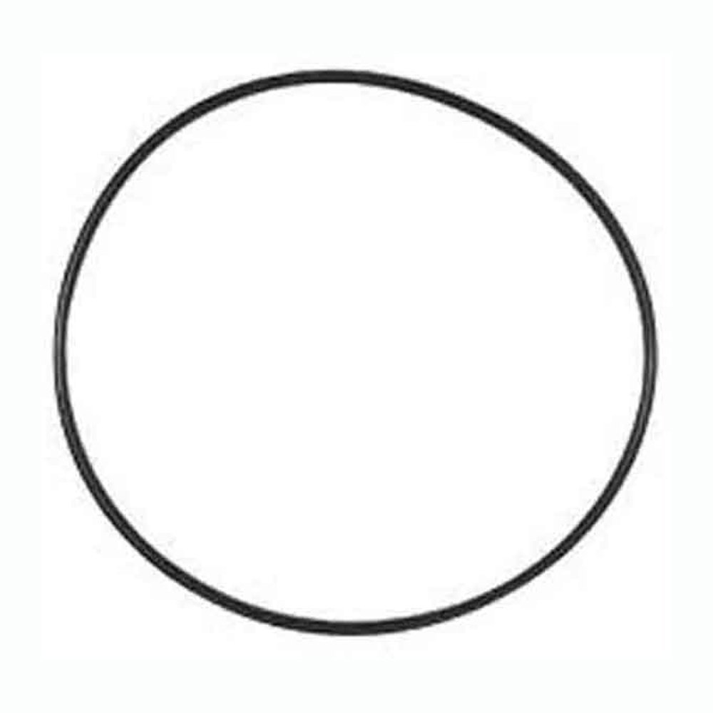 Hurlcon TX CTX Pool Pump ORing Epools Pool Shop