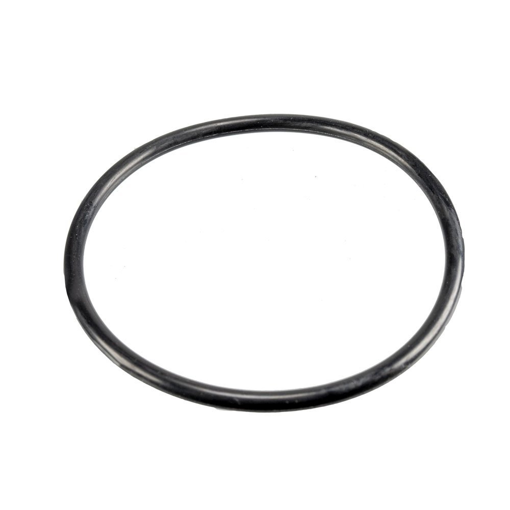 Hayward MaxFlo 11 XL & 500 Pump Lid ORing Epools Pool Shop