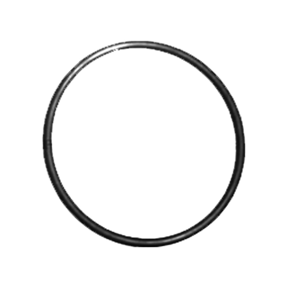 Hurlcon BX Pump Union ORing 65mm Epools Pool Shop