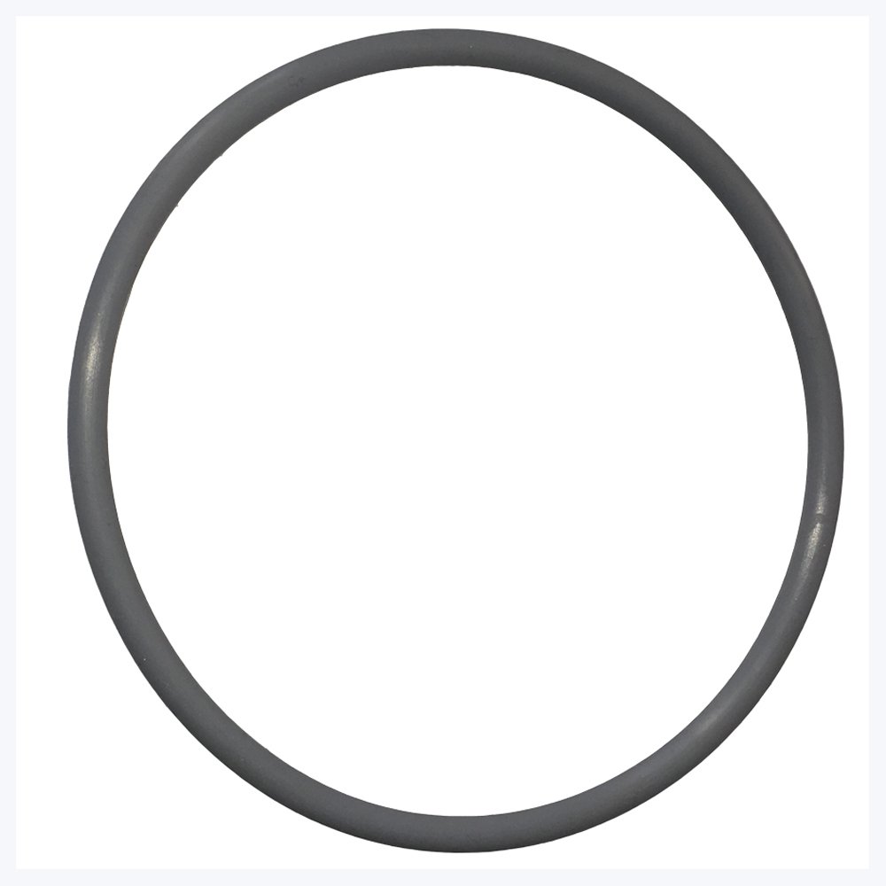 Onga Silentflo / Duraglass 40mm Pump Lid O’Ring Epools Pool Shop